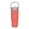 additional image for Stanley IceFlow Flip Straw Bottle - 0.89L - All Colours