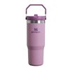 additional image for Stanley IceFlow Flip Straw Bottle - 0.89L - All Colours