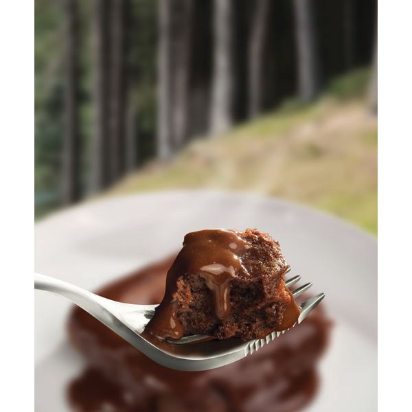 additional image for Wayfayrer Chocolate Pudding Meal