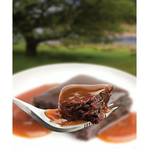additional image for Wayfayrer Salted Caramel Chocolate Brownie Meal
